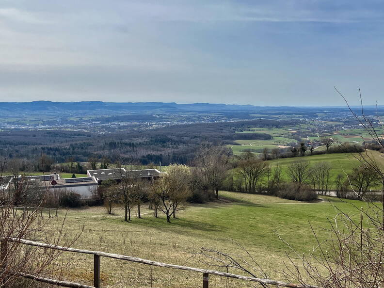 25-03-21 12-04-00 2475